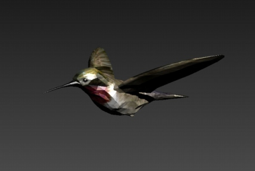 Jay 3d models